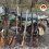 دستگیری شکارچیان و ضبط ۲۵ قبضه سلاح غیرمجاز در فریدونکنار